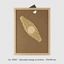 Per arnia 8 favi