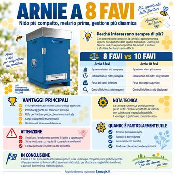 Approfondimento_8favi
