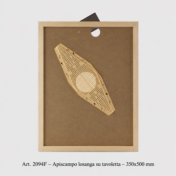 Apiscampo_losanga_8favi