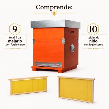 Arnia_cubic_con_telaini_cerati