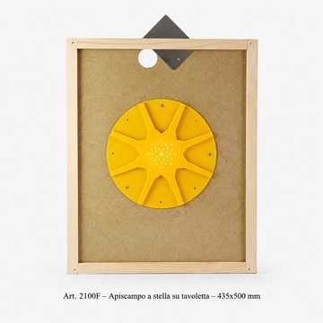 Apiscampo_8_uscite_10favi
