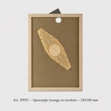 Apiscampo_losanga_7favi