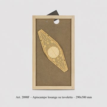 Apiscampo_6favi_losanga