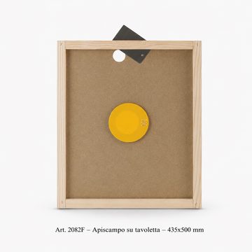 apiscampo_10favi